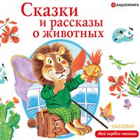 Produktbild: Skazki i rasskazy o zhivotnyh