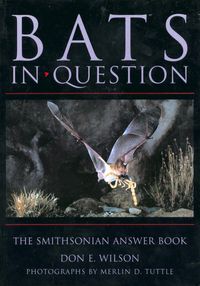 Produktbild: Bats in Question