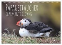 Produktbild: Papageitaucher - charmante Clowns (Wandkalender 2026 DIN A3 quer), CALVENDO Monatskalender