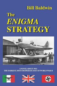 Produktbild: THE ENIGMA STRATEGY