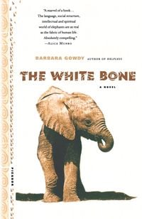 Produktbild: The White Bone