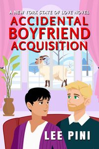 Produktbild: Accidental Boyfriend Acquisition
