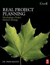 Produktbild: Real Project Planning: Developing a Project Delivery Strategy