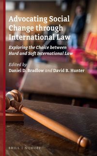 Produktbild: Advocating Social Change Through International Law