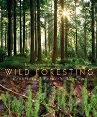 Produktbild: Wild Foresting