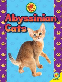 Produktbild: Abyssinian Cats