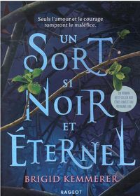 Produktbild: Un sort si noir et &eacute;ternel. Tome 1