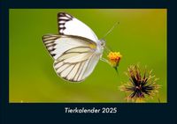 Produktbild: Tierkalender 2025 Fotokalender DIN A4