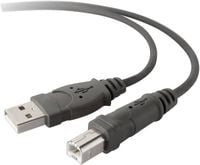Produktbild: Belkin USB-Kabel USB 2.0 USB-A Stecker, USB-B Stecker 3.00m Grau F3U133b10