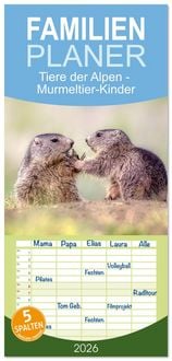 Produktbild: Familienplaner 2026 - Tiere der Alpen - Murmeltier-Kinder mit 5 Spalten (Wandkalender, 21 x 45 cm) CALVENDO