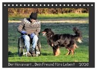 Produktbild: Der Hovawart... Dein Freund f&uuml;rs Leben ! (Tischkalender 2026 DIN A5 quer), CALVENDO Monatskalender