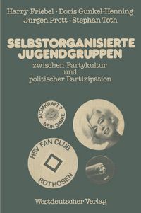 Produktbild: Selbstorganisierte Jugendgruppen zwischen Partykultur und politischer Partizipation
