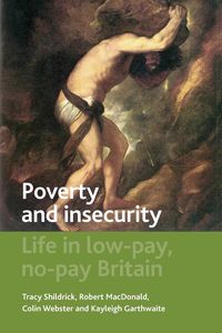 Produktbild: Poverty and insecurity
