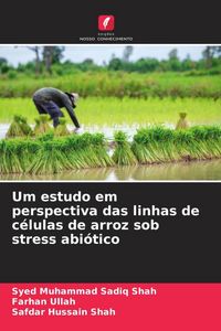 Produktbild: Um estudo em perspectiva das linhas de c&eacute;lulas de arroz sob stress abi&oacute;tico