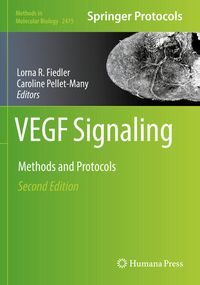 Produktbild: VEGF Signaling