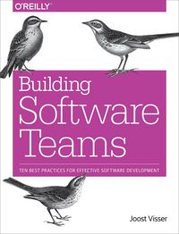 Produktbild: Building Software Teams