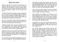 Entspannungsgeschichten und Fantasiereisen für Erwachsene