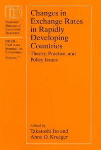 Produktbild: Changes in Exchange Rates in Rapidly Developing Countries