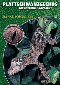 Produktbild: Plattschwanzgeckos