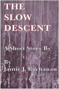 Produktbild: The Slow Descent