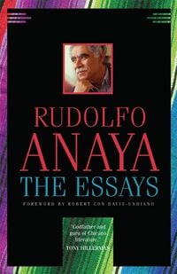Produktbild: The Essays