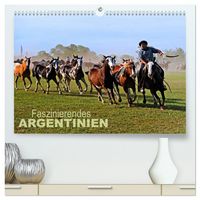 Produktbild: Faszinierendes Argentinien (hochwertiger Premium Wandkalender 2026 DIN A2 quer), Kunstdruck in Hochglanz