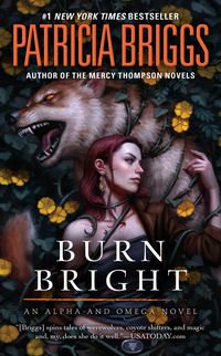 Produktbild: Burn Bright