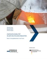 Produktbild: Energieflexibilit&auml;t in der deutschen Industrie