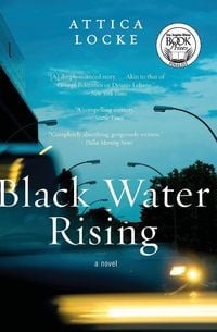 Produktbild: Black Water Rising (Harper Perennial)