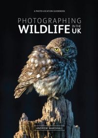 Produktbild: Photographing Wildlife in the UK