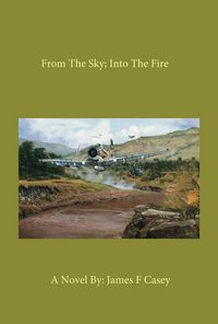 Produktbild: From the Sky; into the Fire