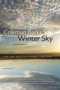 Produktbild: Winter Sky