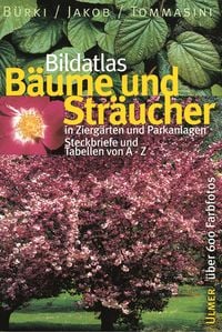 Produktbild: B&auml;ume und Str&auml;ucher