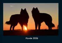 Produktbild: Hunde 2026 Fotokalender DIN A4