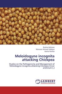 Produktbild: Meloidogyne incognita attacking Chickpea