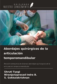 Produktbild: Abordajes quir&uacute;rgicos de la articulaci&oacute;n temporomandibular