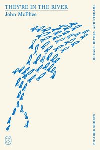 Produktbild: They're in the River (Picador Shorts)
