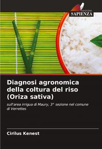 Produktbild: Diagnosi agronomica della coltura del riso (Oriza sativa)