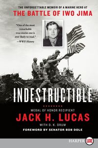 Produktbild: Indestructible LP