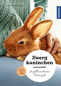 Produktbild: Zwergkaninchen