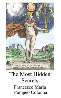 Produktbild: The most hidden secrets
