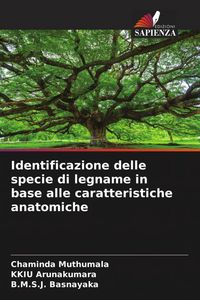 Produktbild: Identificazione delle specie di legname in base alle caratteristiche anatomiche