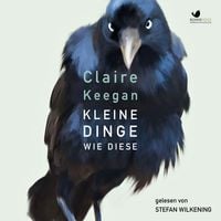 Das peferkte Buch: Das dritte Licht von Claire Keegan ~ Das Perfekte Buch  für den Moment - Deutschlandfunk Nova Podcast