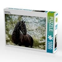 Produktbild: CALVENDO Puzzle Friese | 1000 Teile Lege-Gr&ouml;&szlig;e 64x48cm Foto-Puzzle f&uuml;r gl&uuml;ckliche Stunden