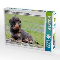 Produktbild: CALVENDO Puzzle Liebenswerter Rabauke | 1000 Teile Lege-Gr&ouml;&szlig;e 64x48cm Foto-Puzzle f&uuml;r gl&uuml;ckliche Stunden
