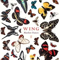 Produktbild: Wing