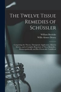 Produktbild: The Twelve Tissue Remedies of Sch&uuml;ssler