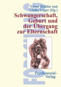 Produktbild: Schwangerschaft, Geburt und der &Uuml;bergang zur Elternschaft