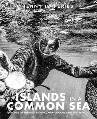 Produktbild: Islands In A Common Sea