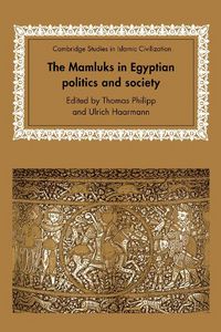 Produktbild: The Mamluks in Egyptian Politics and Society